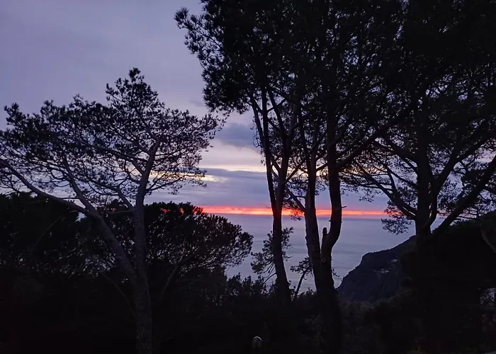 Total Relax By World Framura